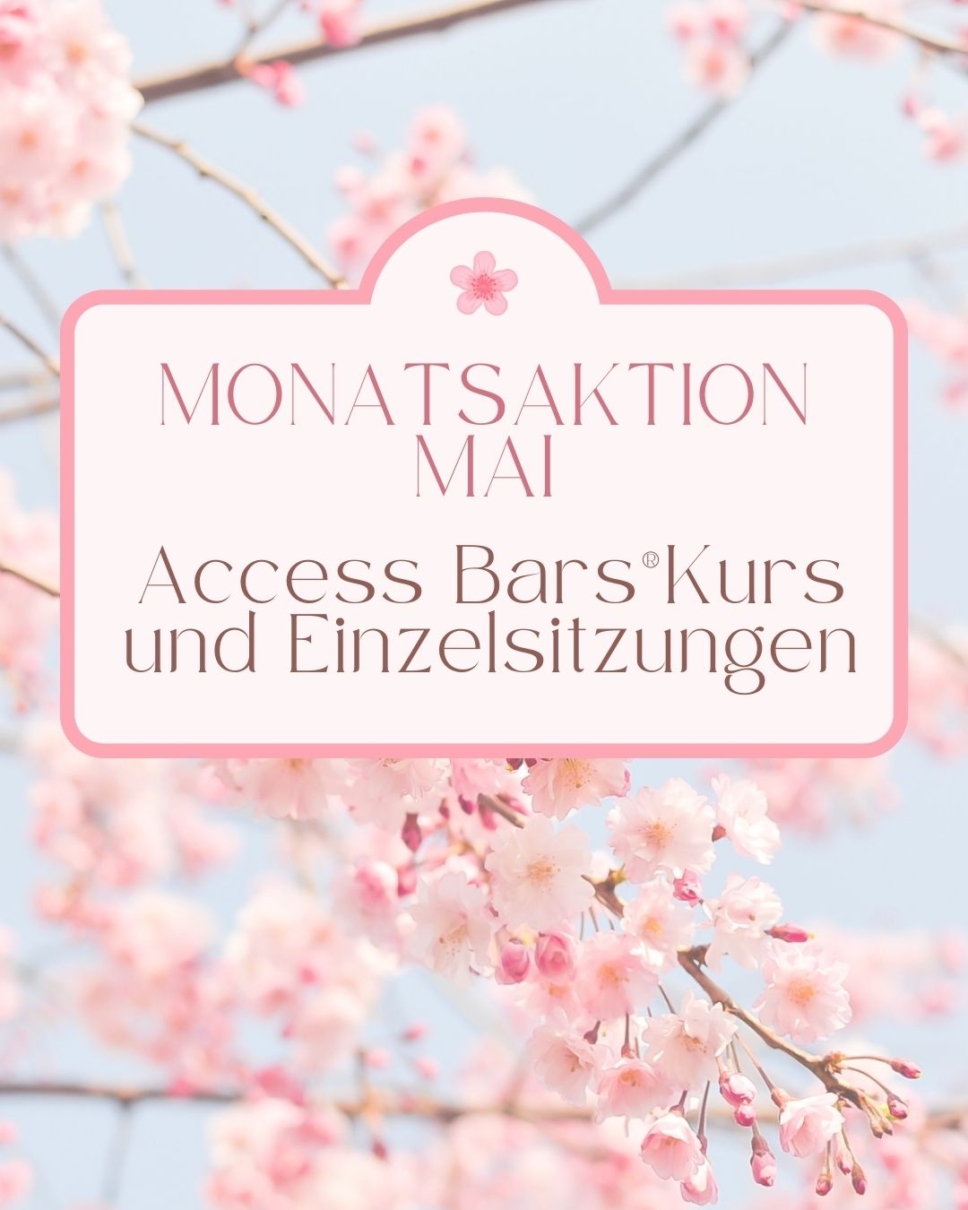 Access Bars CC BY 2.0 Carolina Buerger 2025 04 01