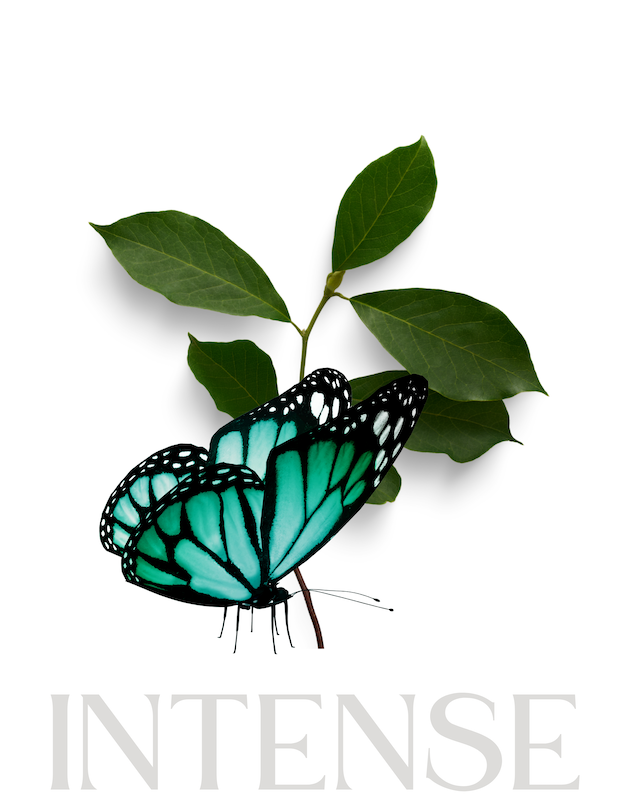 Member Intense Carolina Buerger